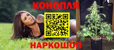 наркотики Будённовск