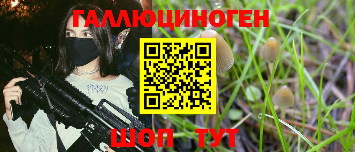 Псилоцибиновые грибы Magic Shrooms Курган