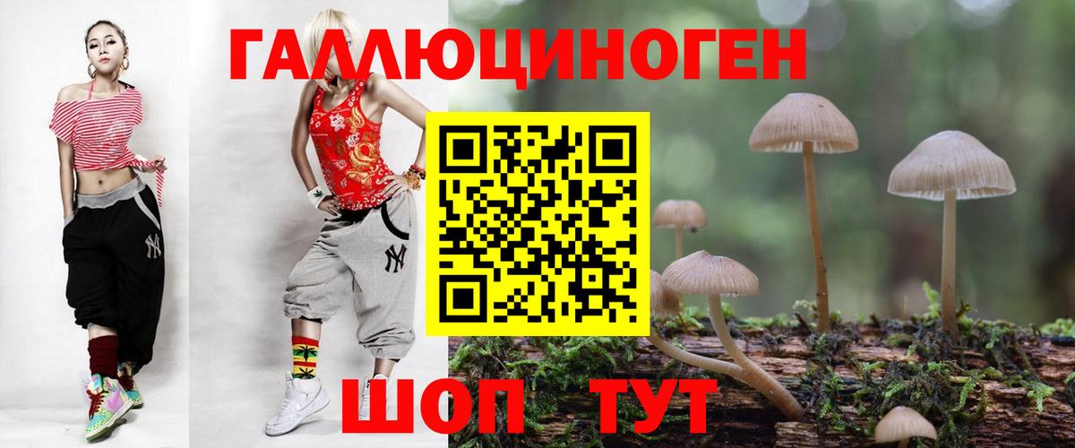 Курган  Псилоцибиновые грибы Psilocybine cubensis  Вход с VPN  Галлюциногенные грибы MAGIC MUSHROOMS 